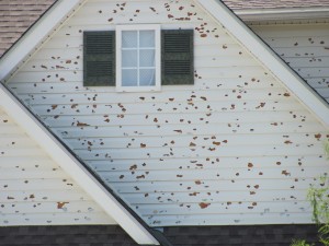 Hail damage on a house